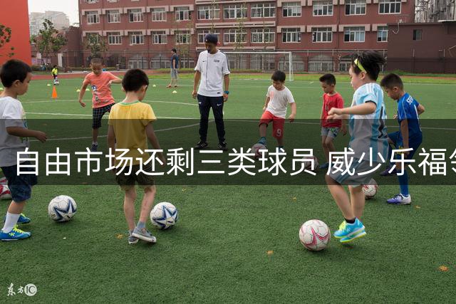 自由市场还剩三类球员 威少乐福领衔失业大军？